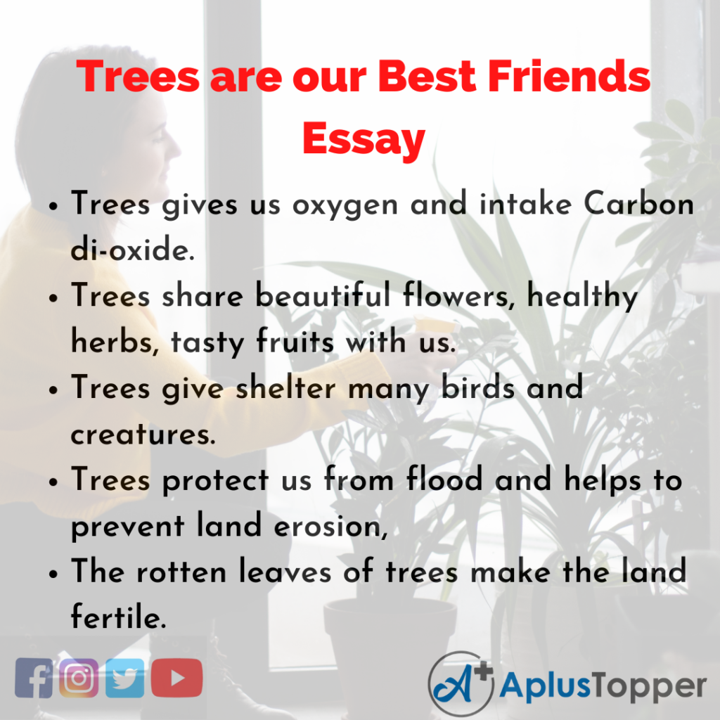 essay on trees our true friends in hindi