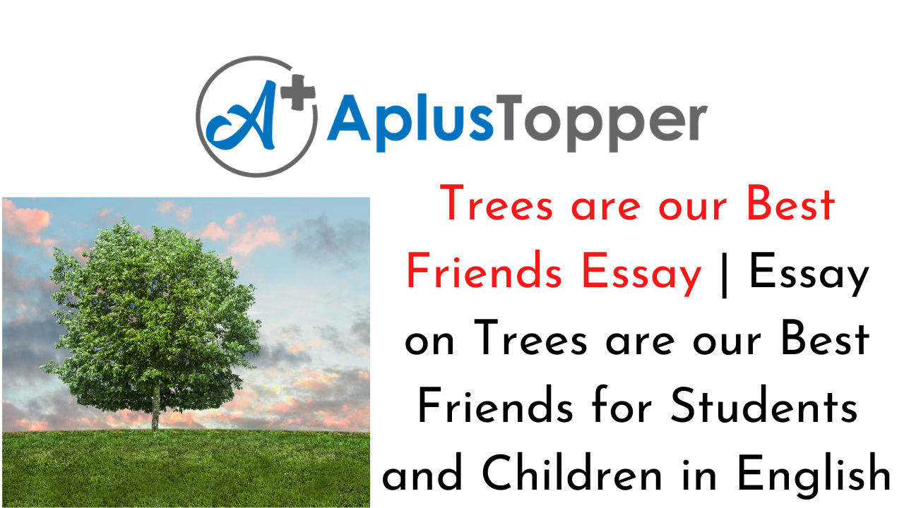 trees are our best friend essay in english 250 words