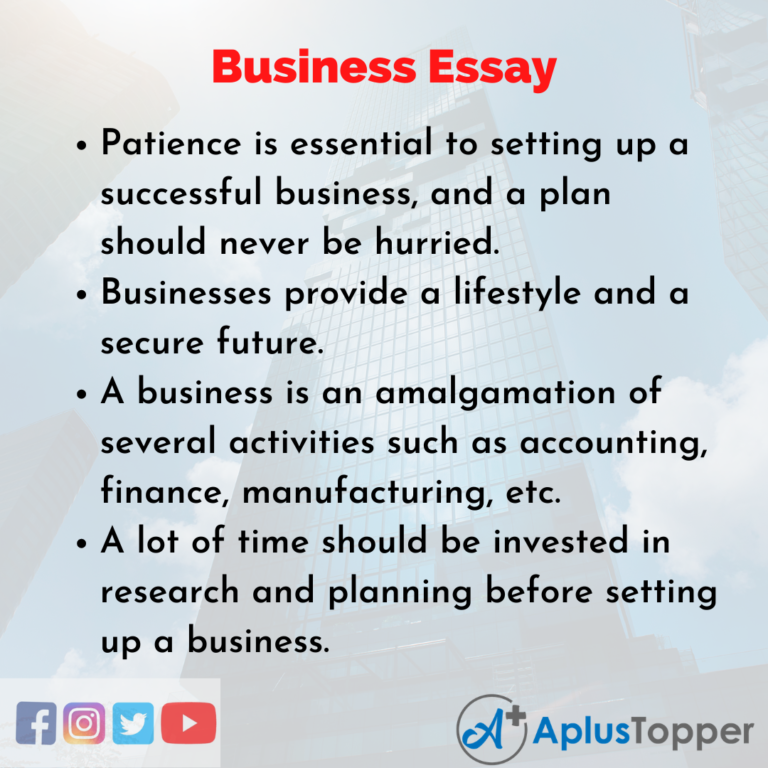 essay on role of business