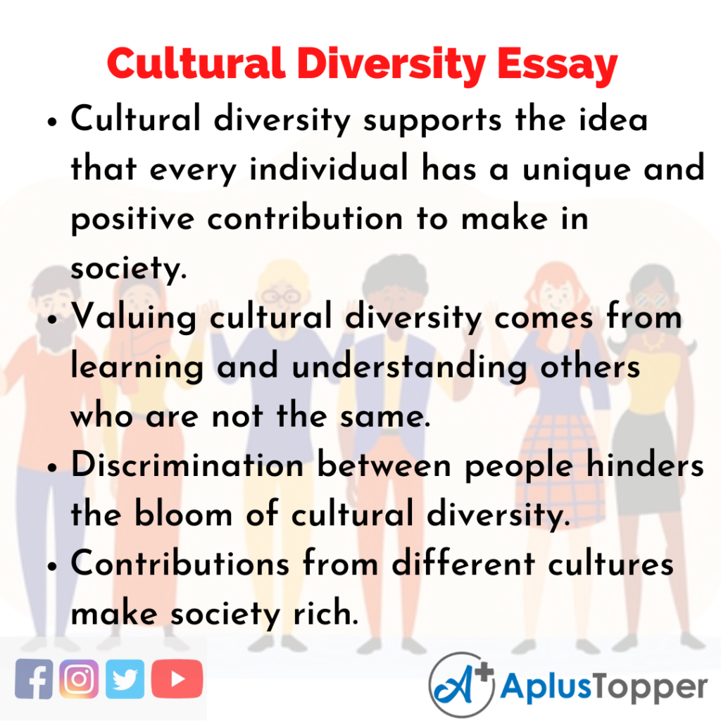 essay about multicultural