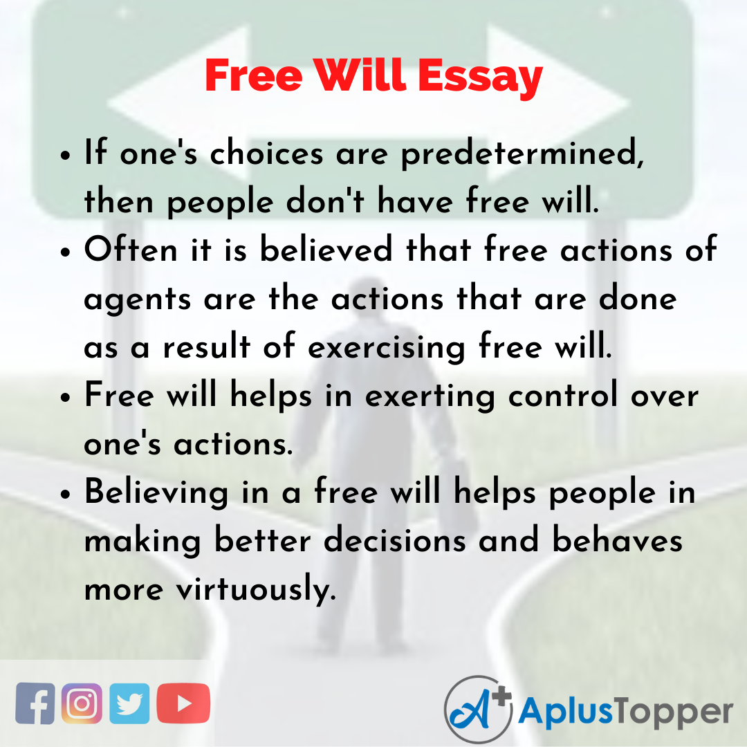 how to write an essay on free will