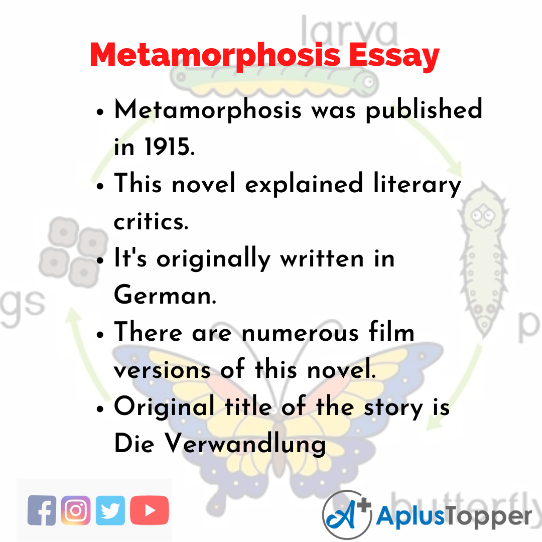 essay prompts for the metamorphosis