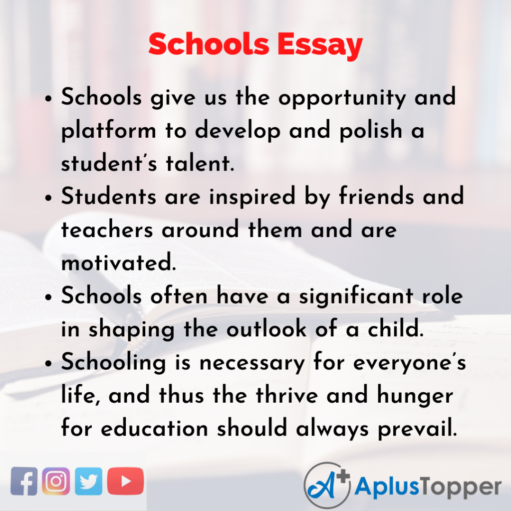 write an essay about school education