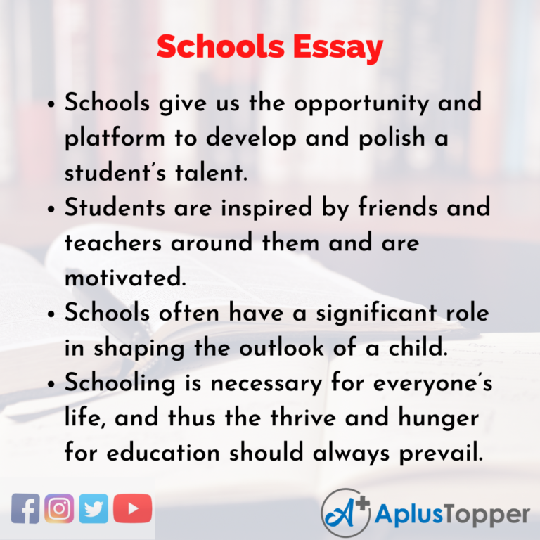 what is primary education essay