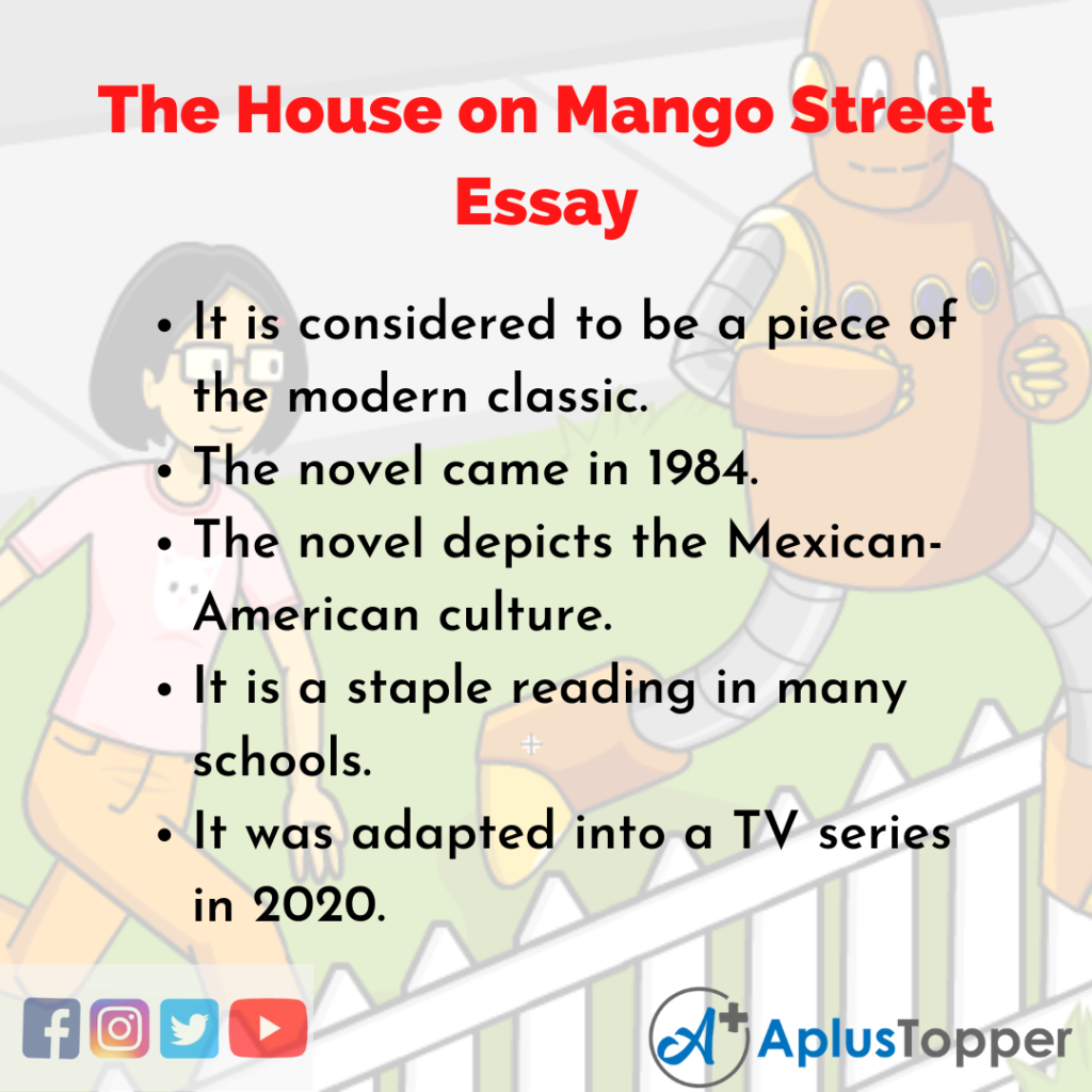 essay questions for house on mango street