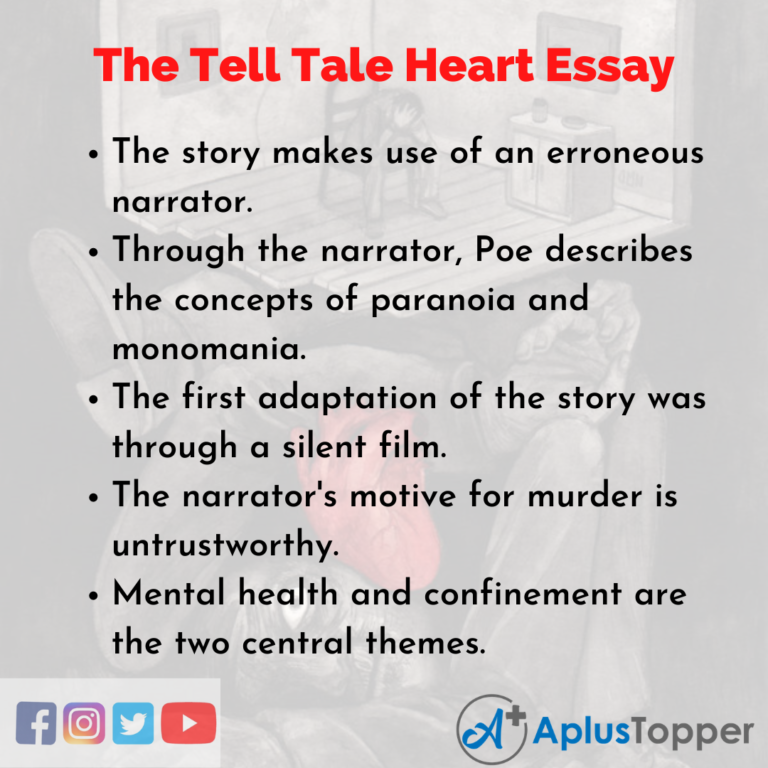 the tell tale heart point of view essay