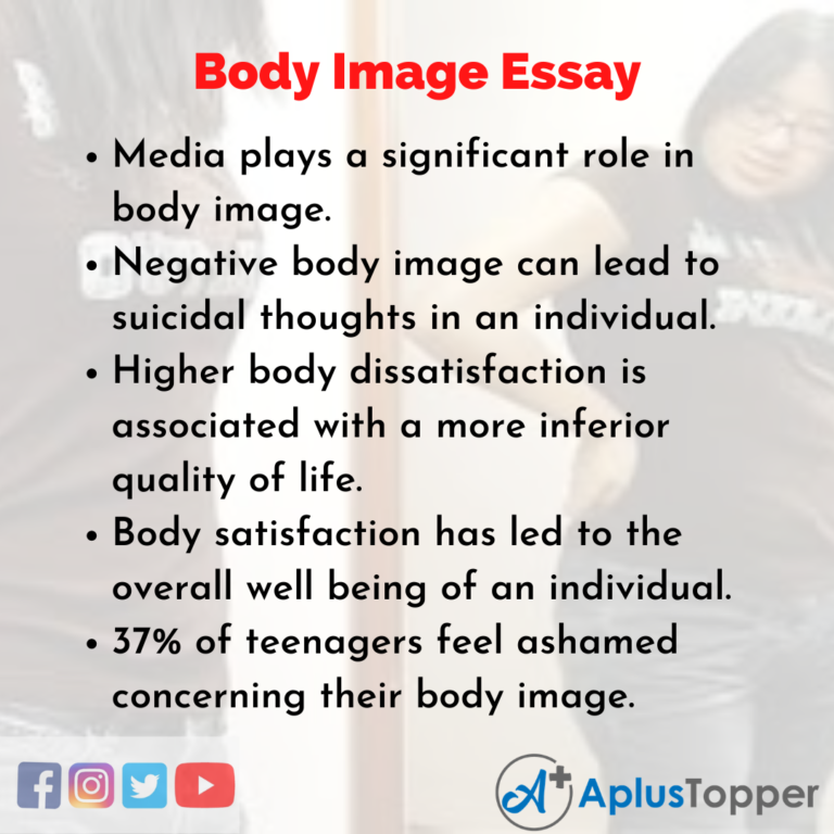 a essay body