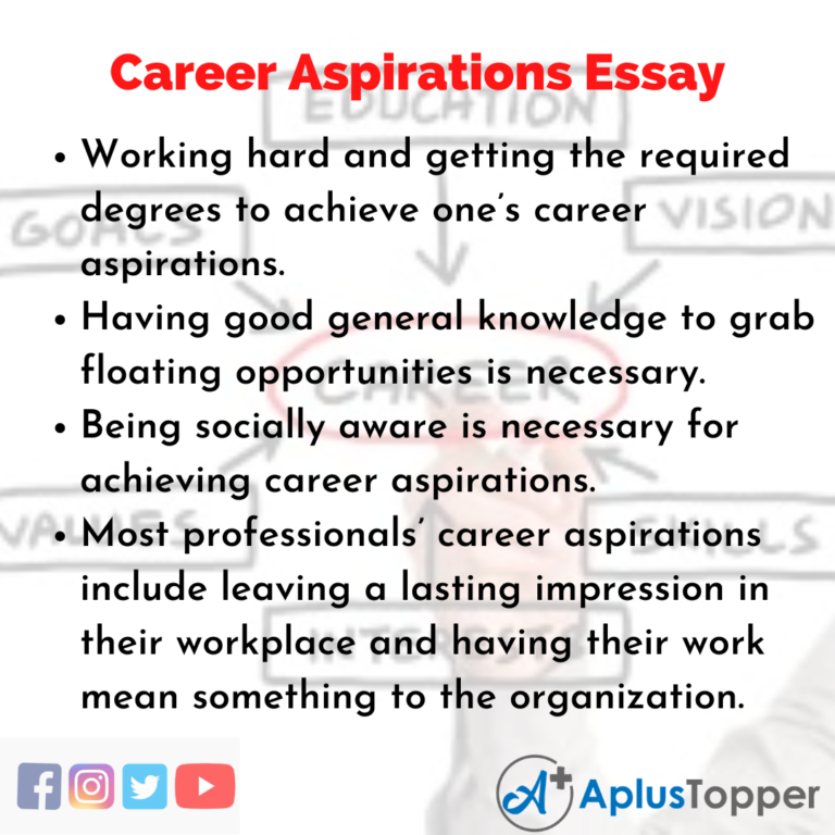 what is essay career