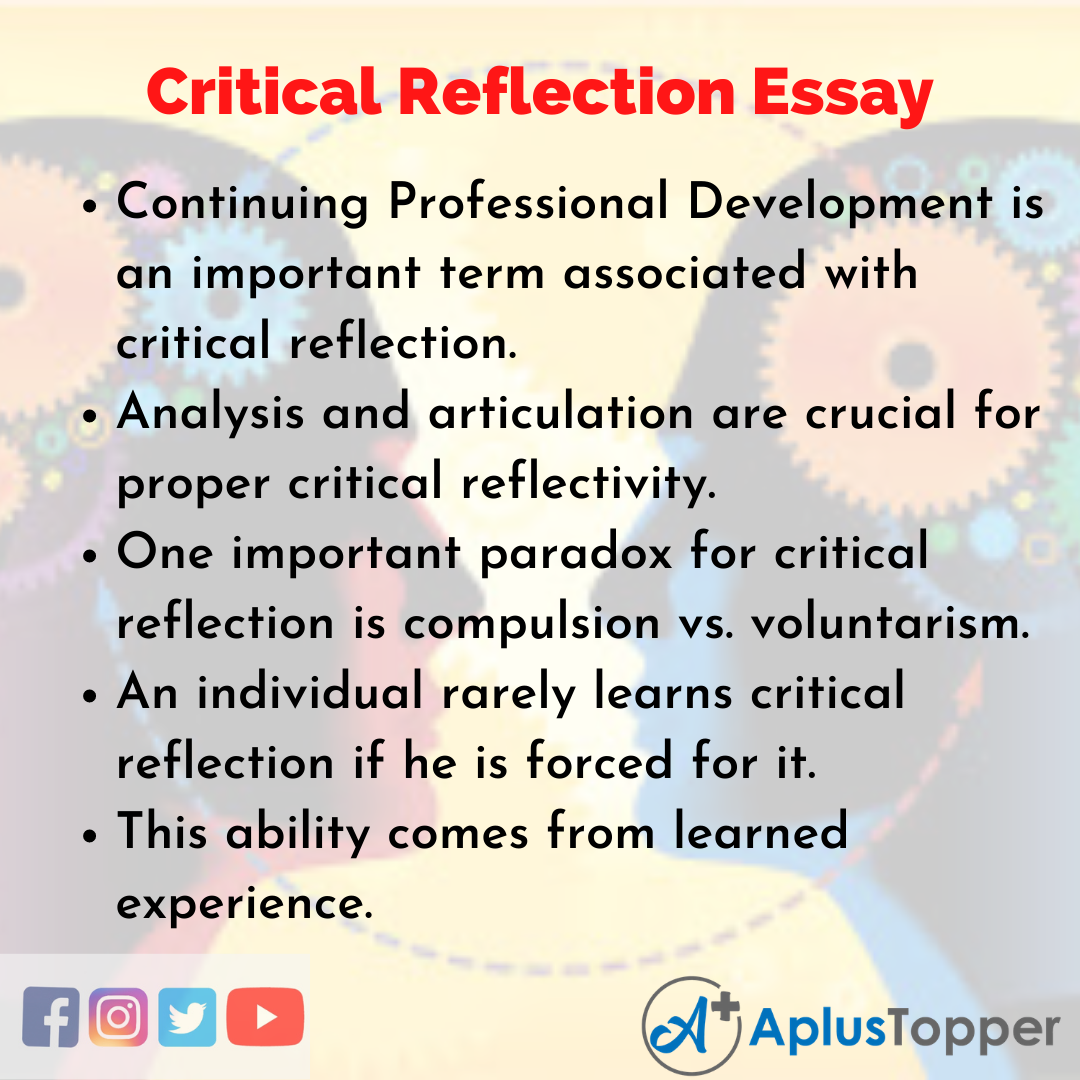 essay vs reflection