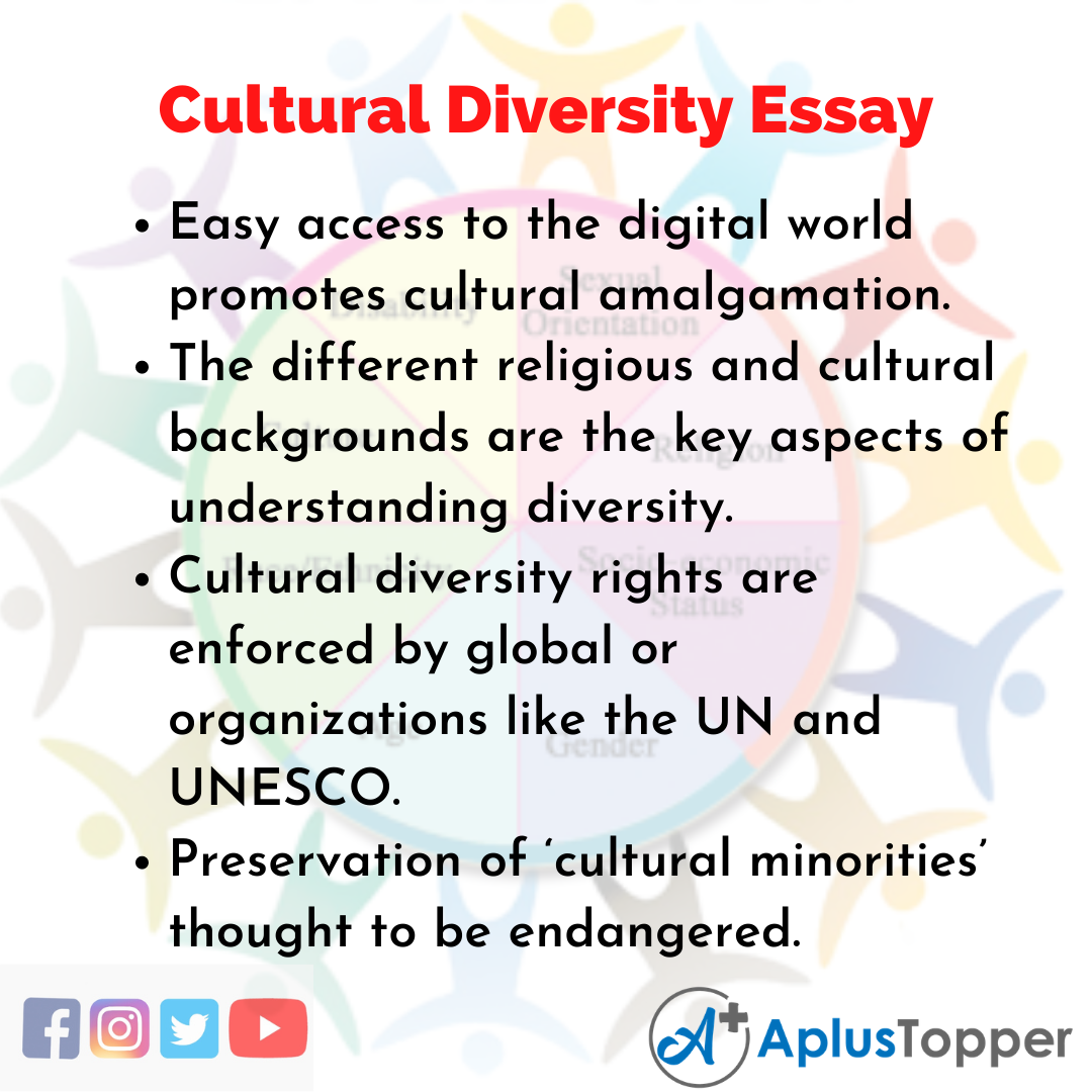 cultural differences in the world essay