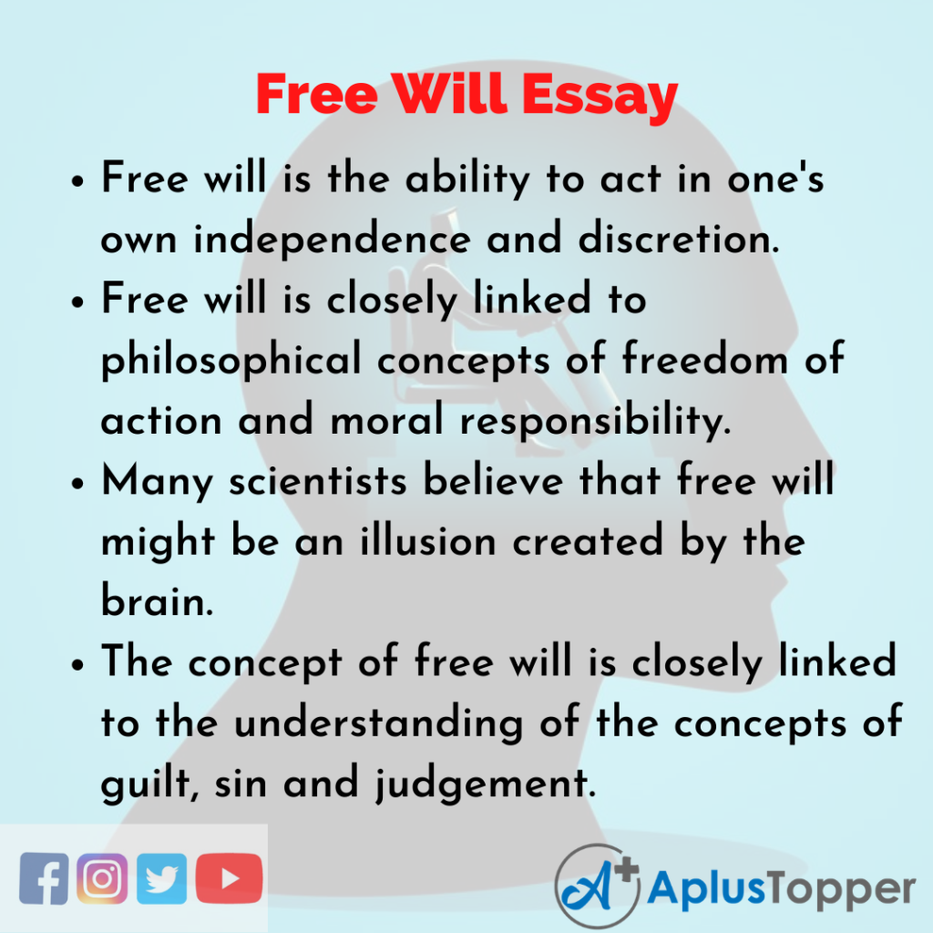 how to write an essay on free will