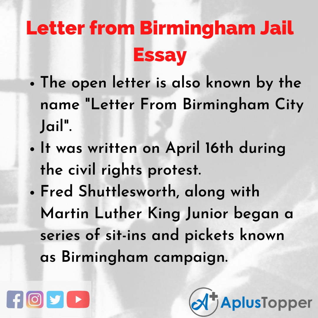 letter from birmingham jail essay hook