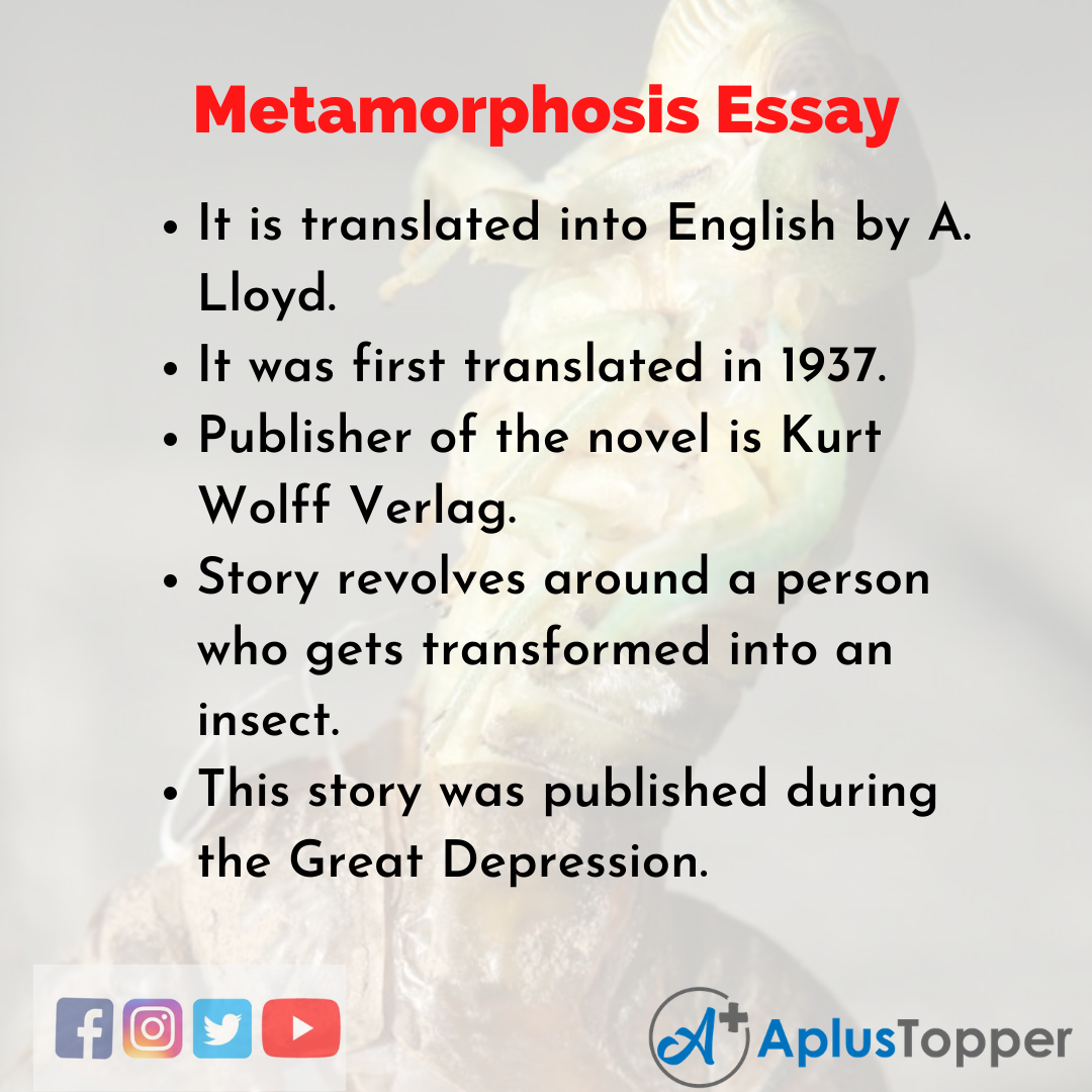 metamorphosis transformation essay