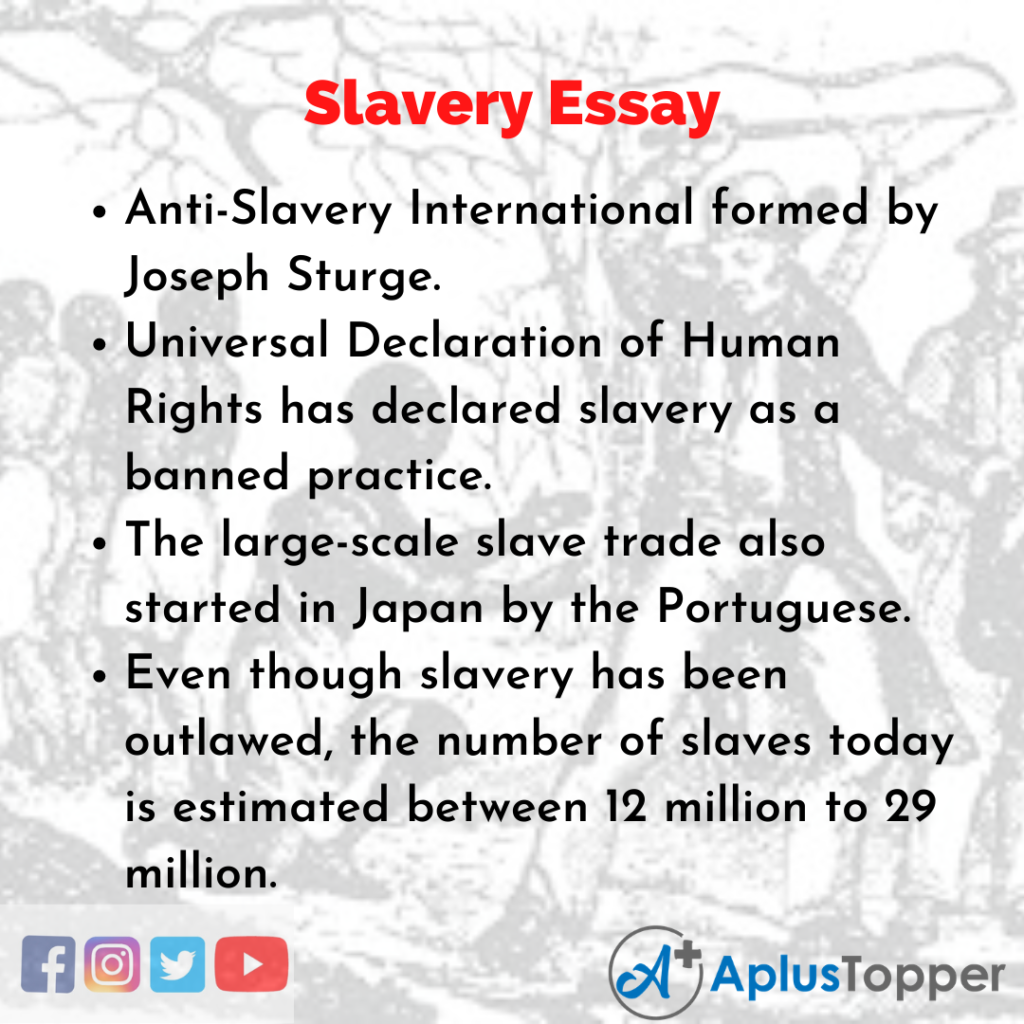 slavery economy essay