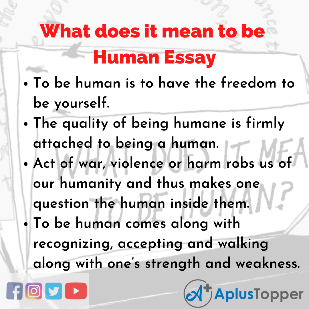 essay on being a human