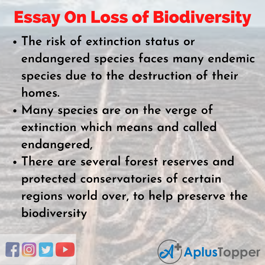 biodiversity essay about