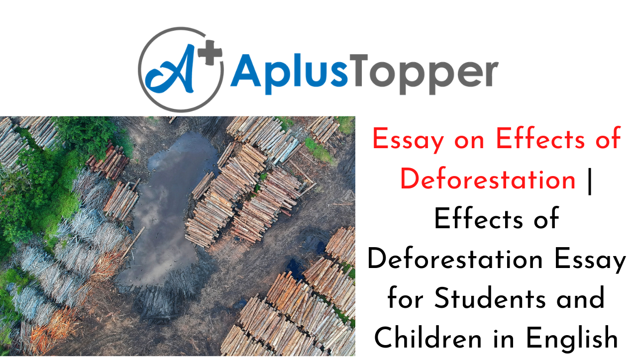 deforestation essay pdf in english