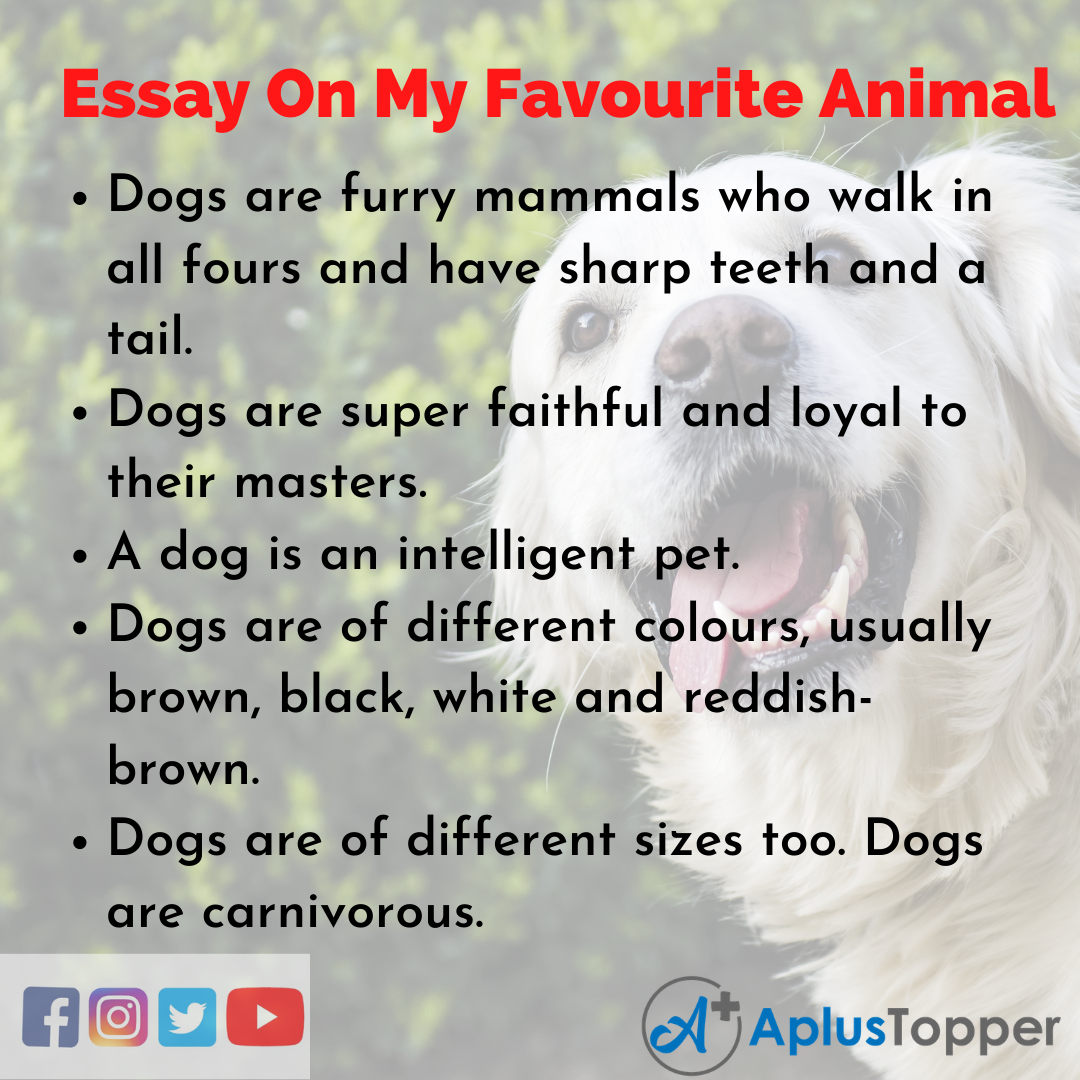 essay on my favourite animal dog in hindi