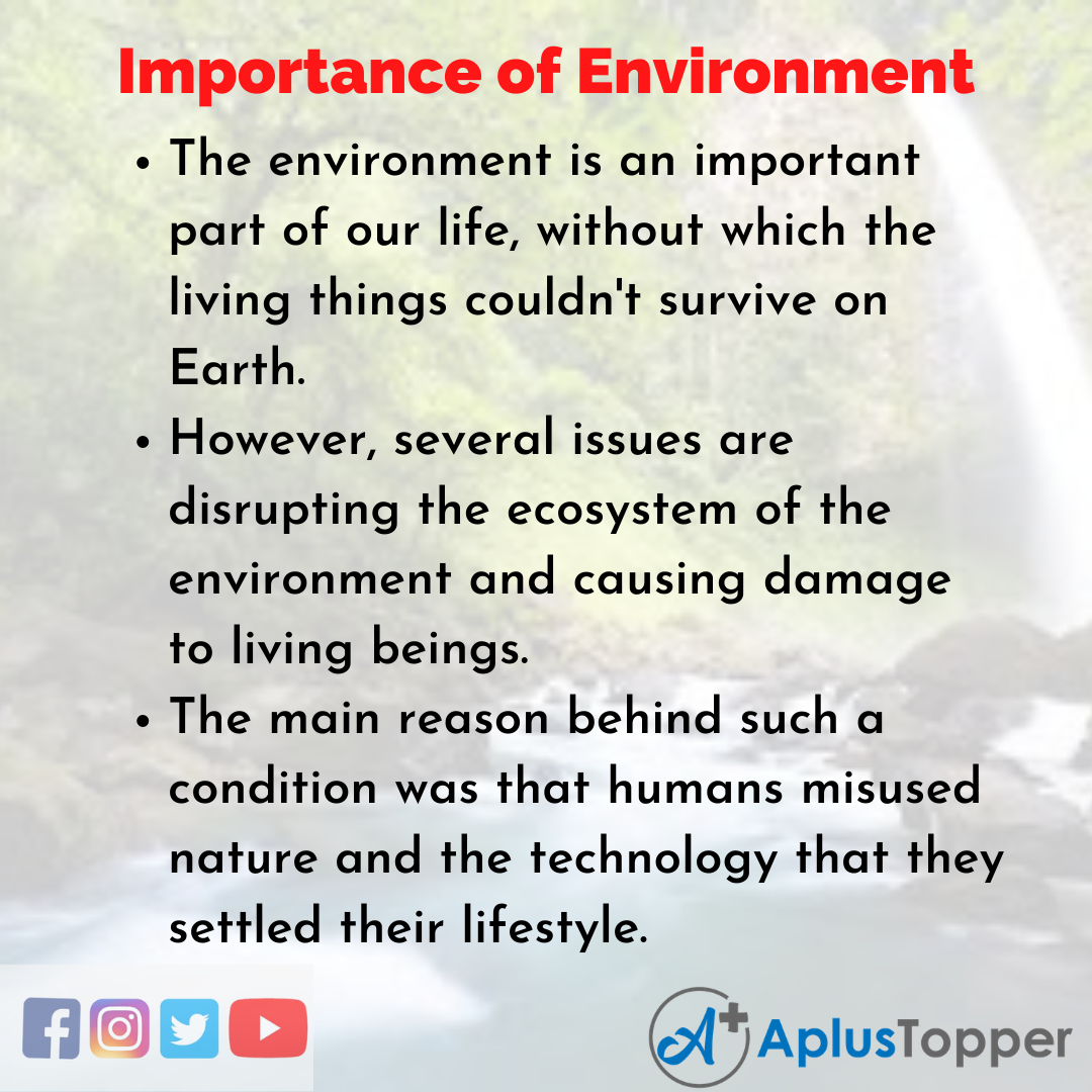 essay on man made environment