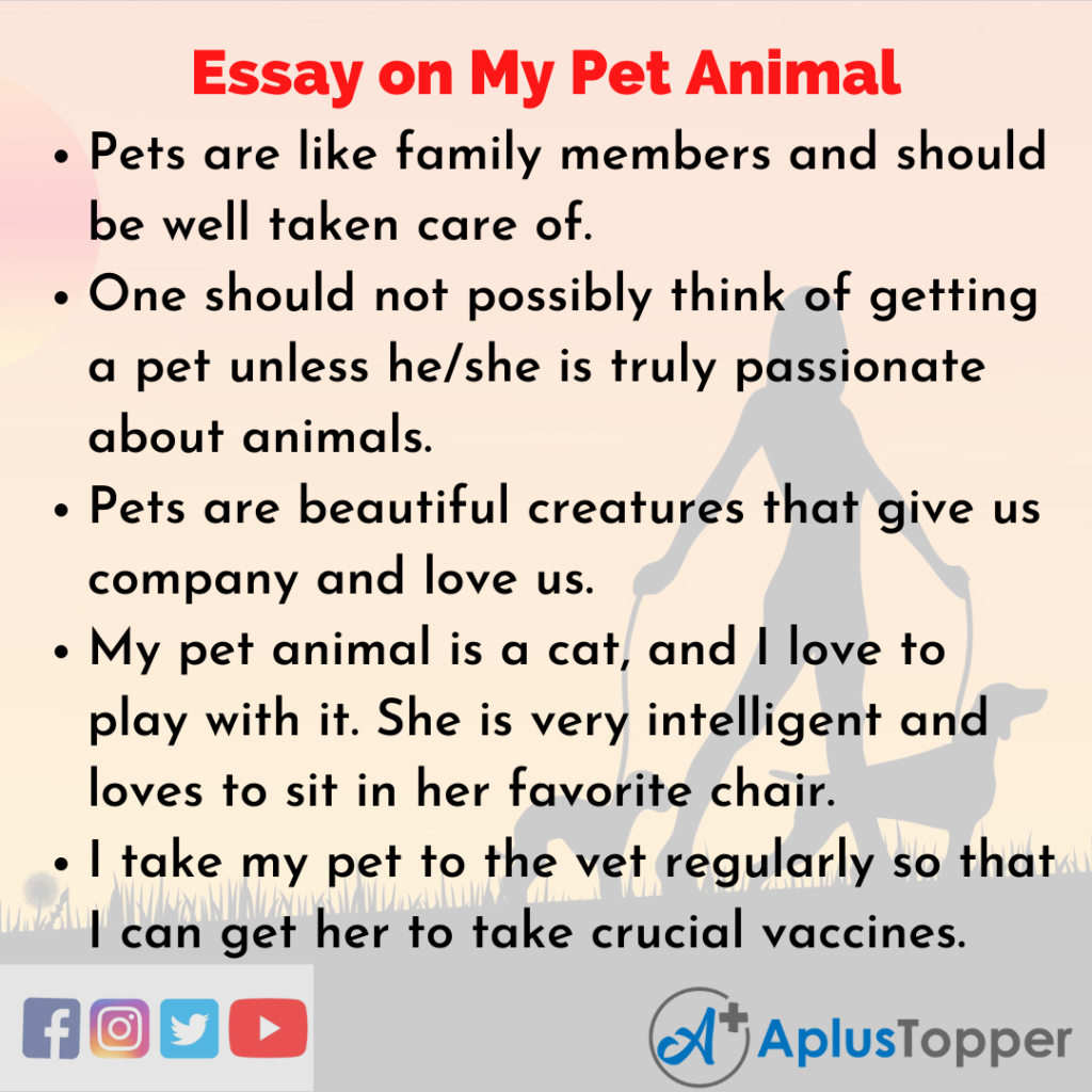 essay my pet for class 2