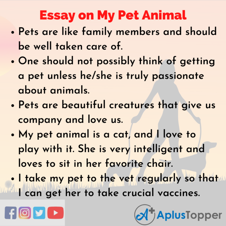 essay on my pet for class 2