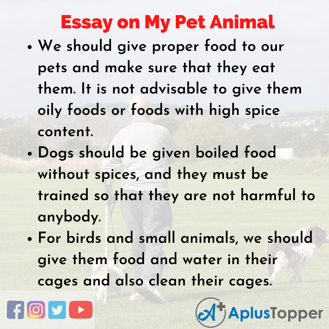 Essay On My Pet Animal My Pet Animal Essay For Students And Children