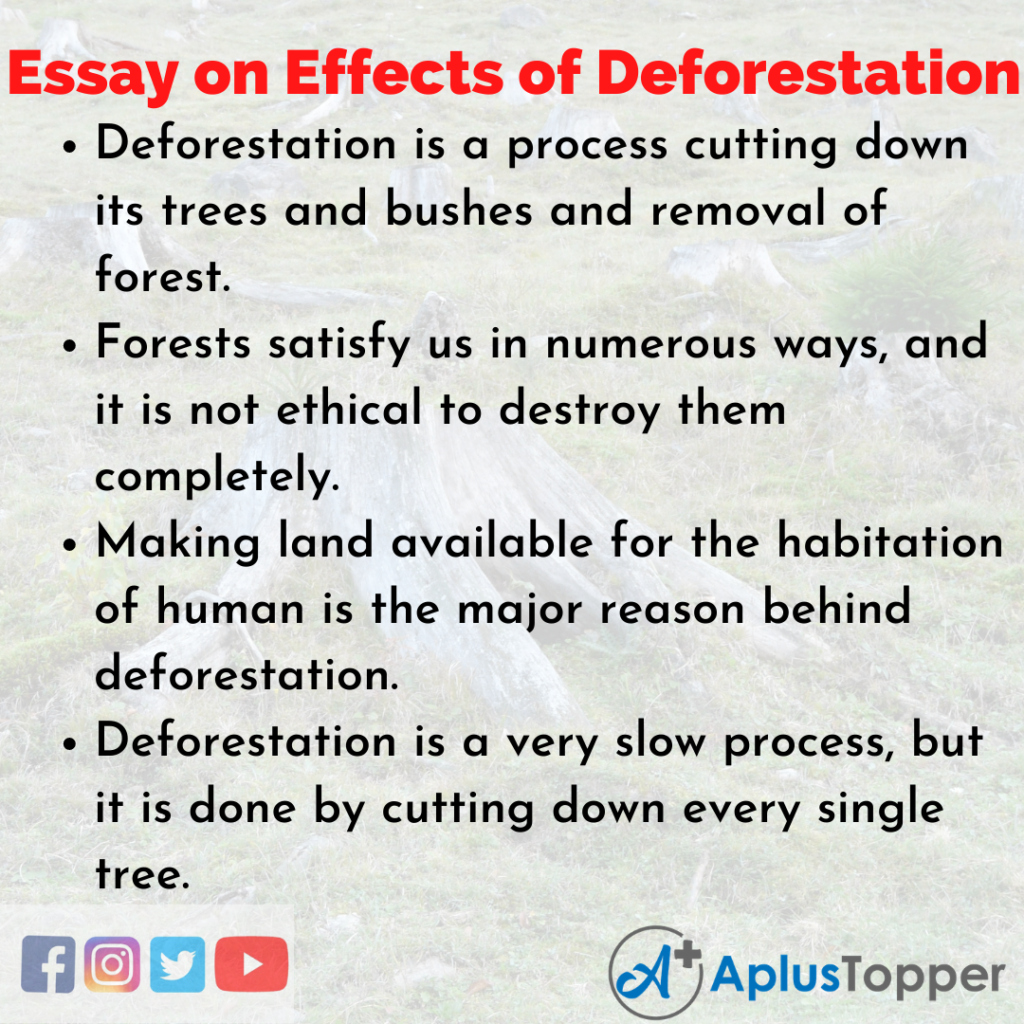 impact of deforestation essay