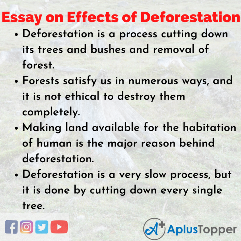 deforestation long essay
