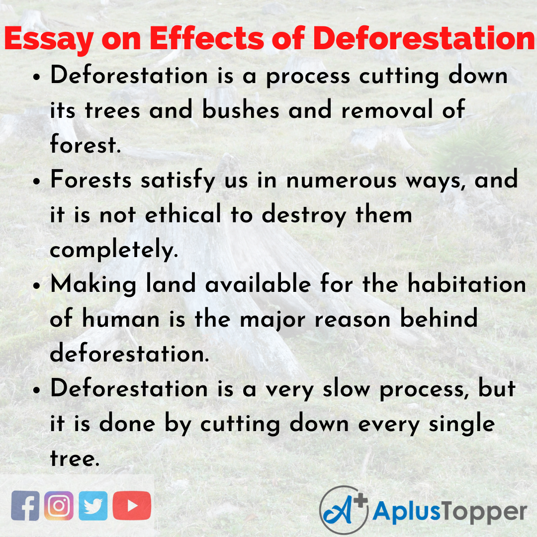 deforestation essay in english for class 9