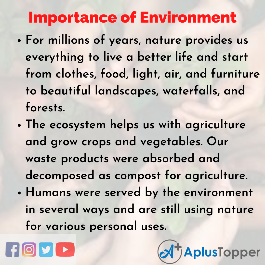 benefits of environment essay writing