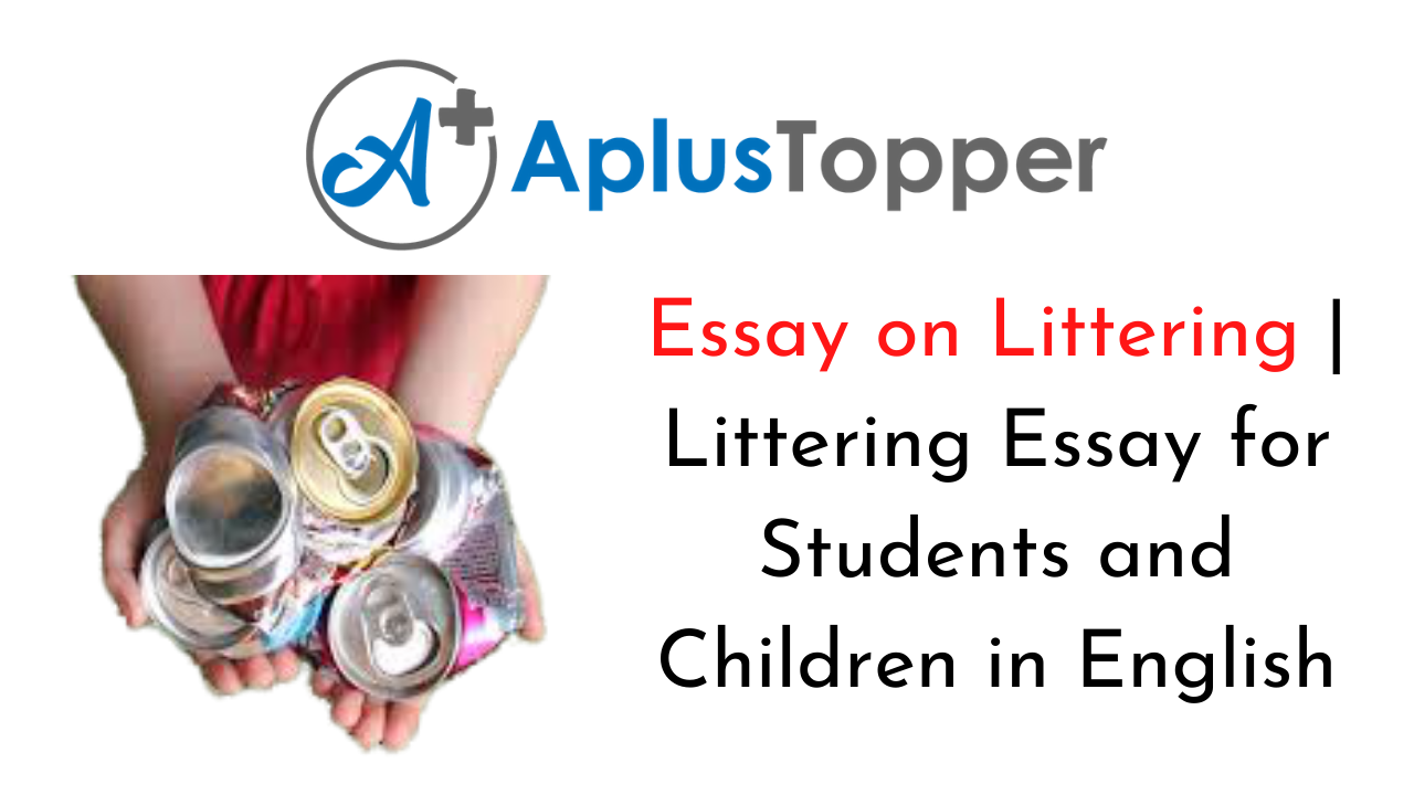 essay about sources of litter