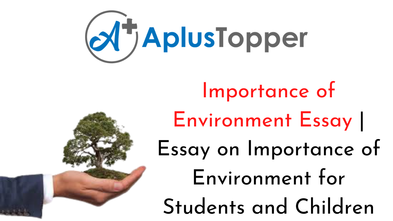 essay why do you think environment is important to us