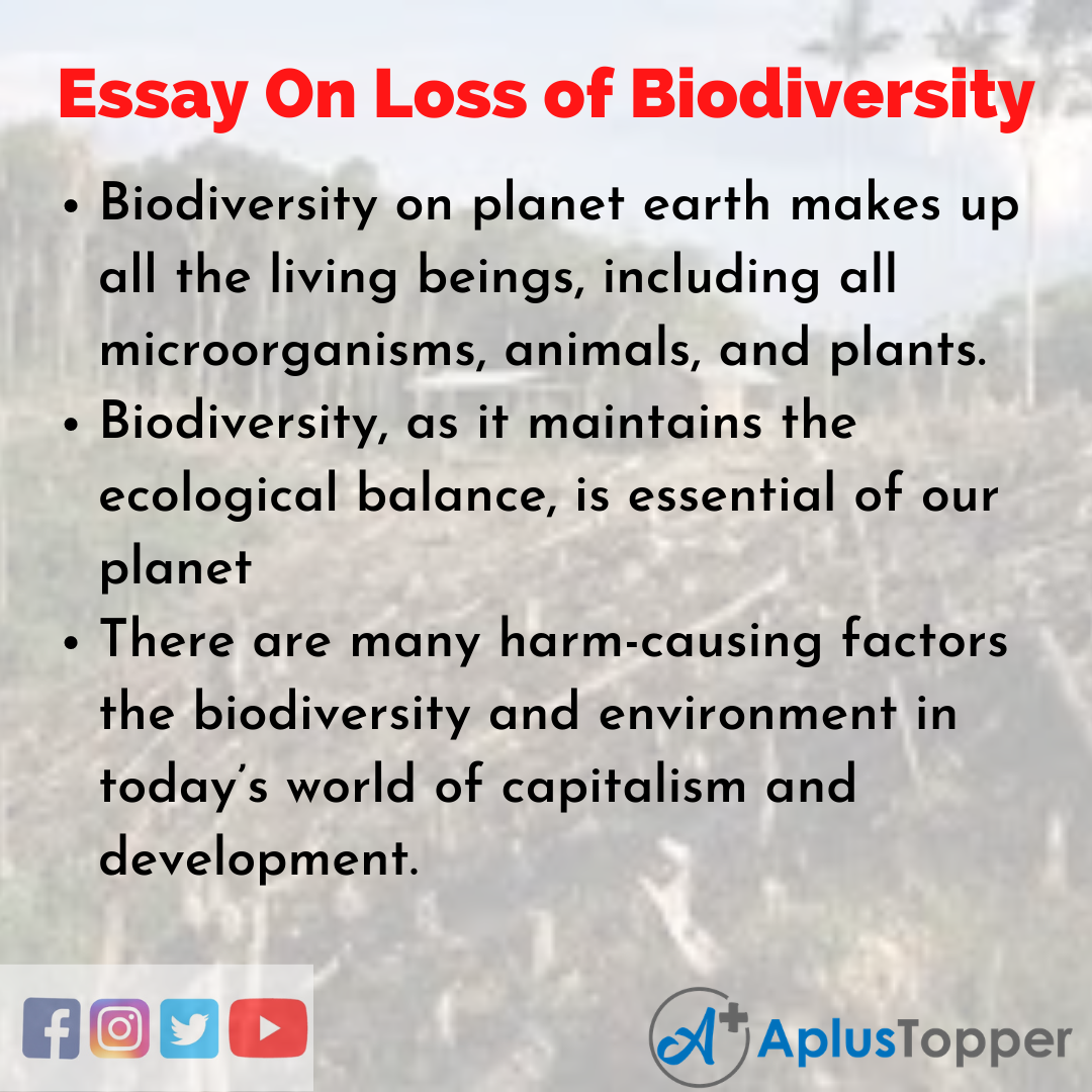 essay about biodiversity and species extinction