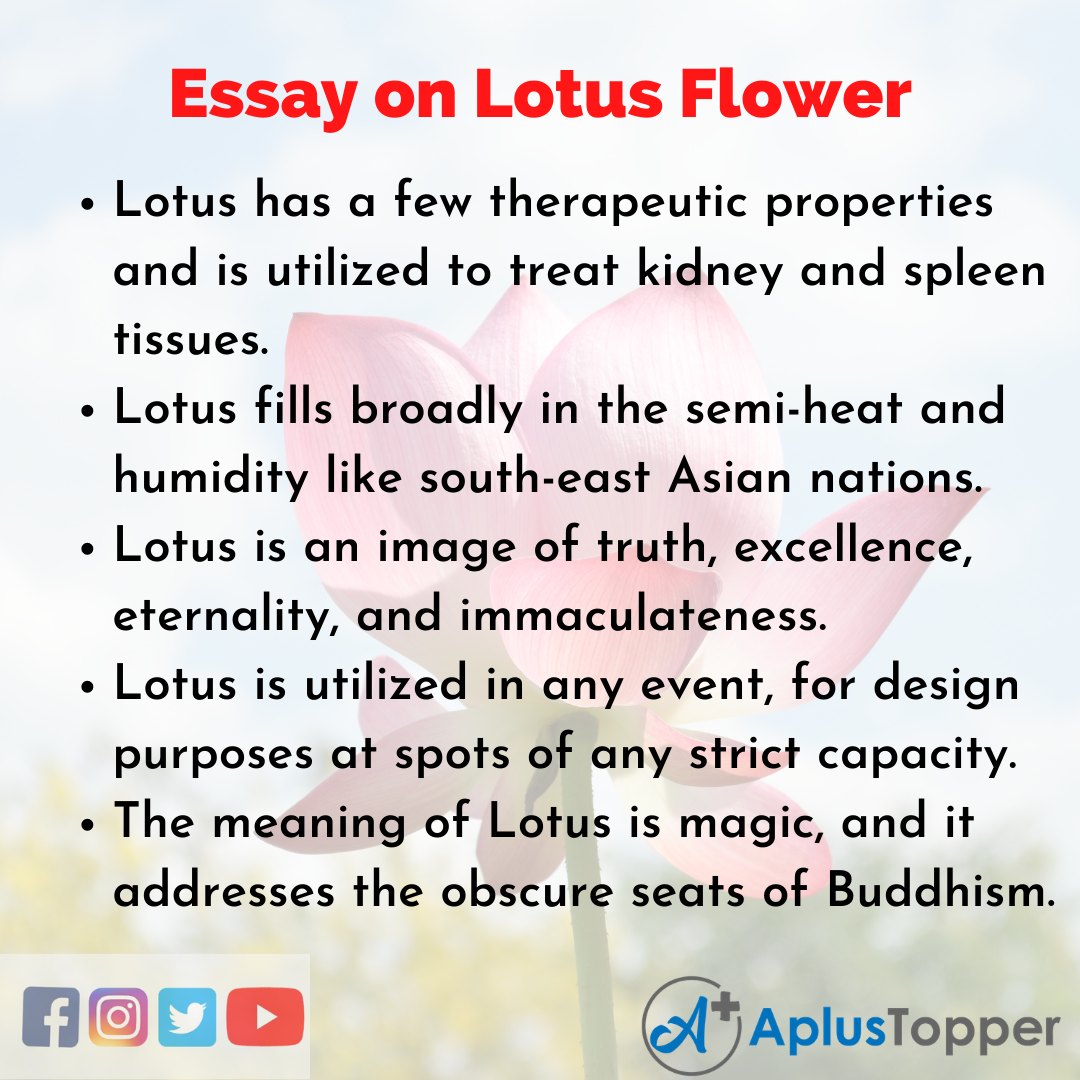 essay on flower in english for class 5