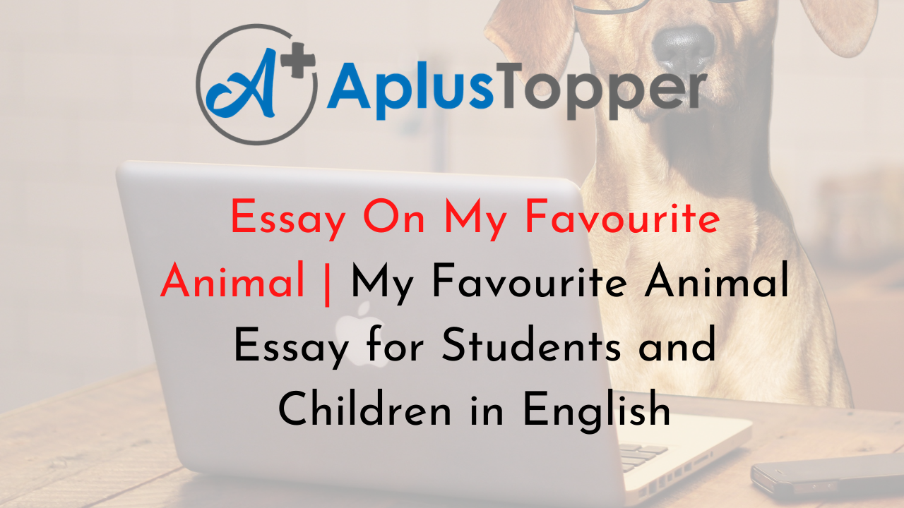 essay writing my favourite animal