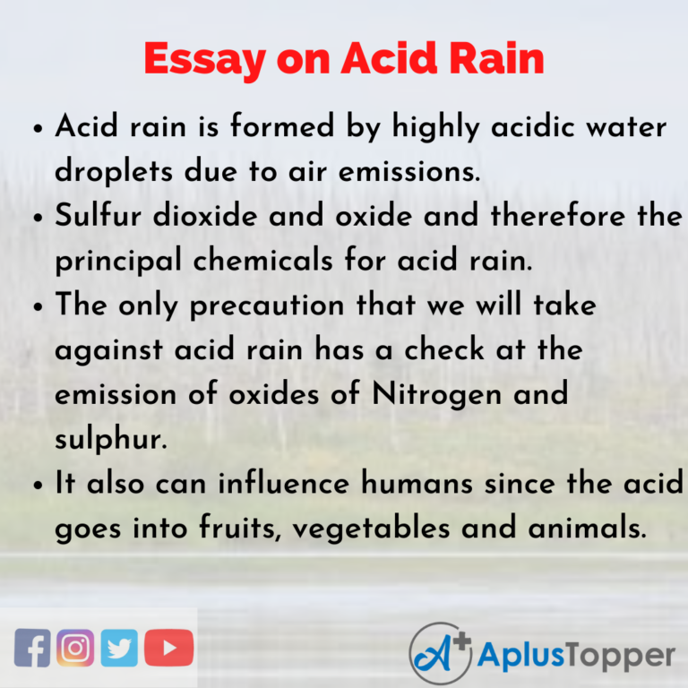 acid rain essay 500 words
