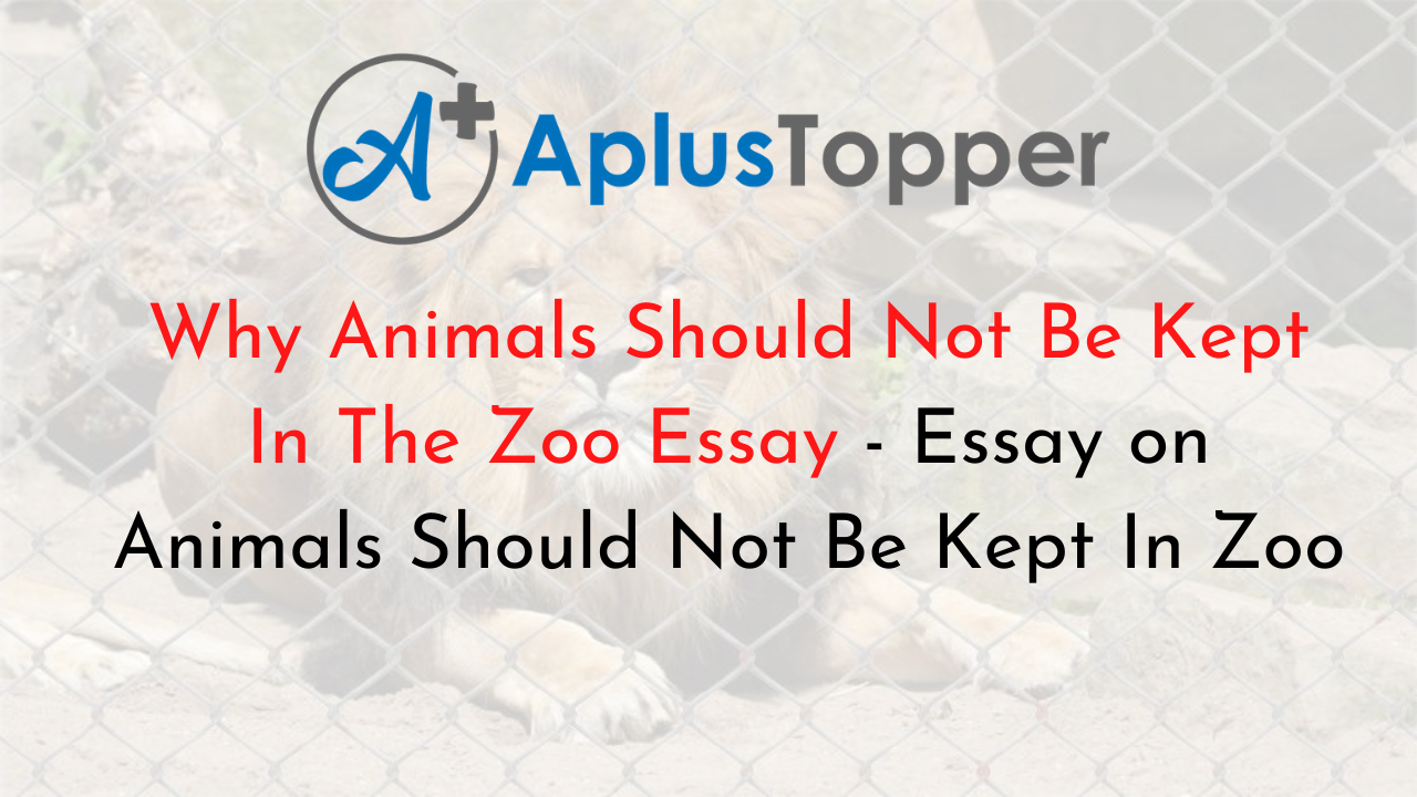 essay on why animals should not be kept in zoos