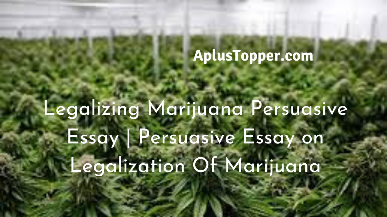 legalization of marijuana persuasive essay