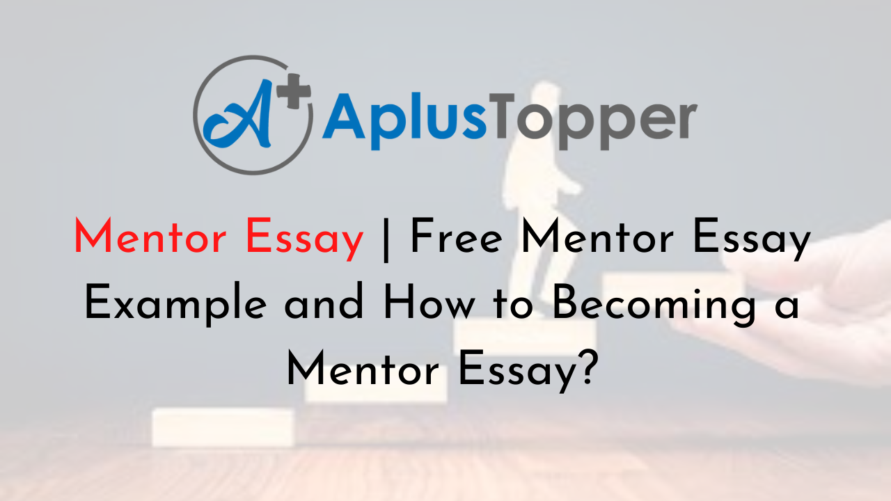 the college essay mentor