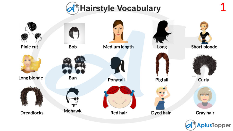 Different types of hair style  Photo dictionary Writing mini lessons  Teaching english