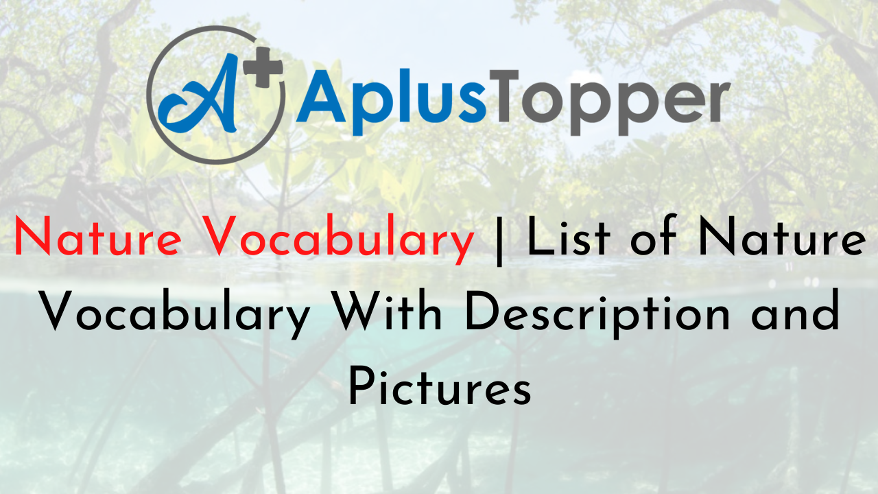 Nature Vocabulary List Pdf