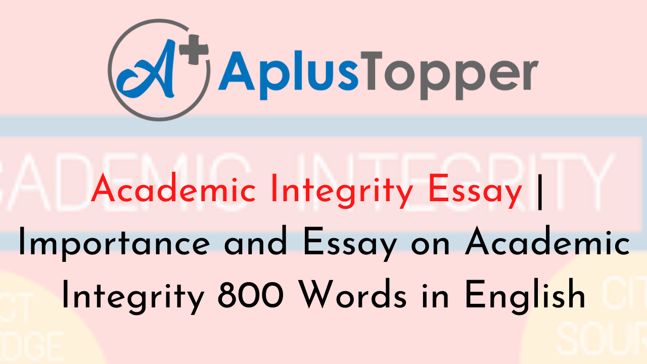 essay on excellence through integrity