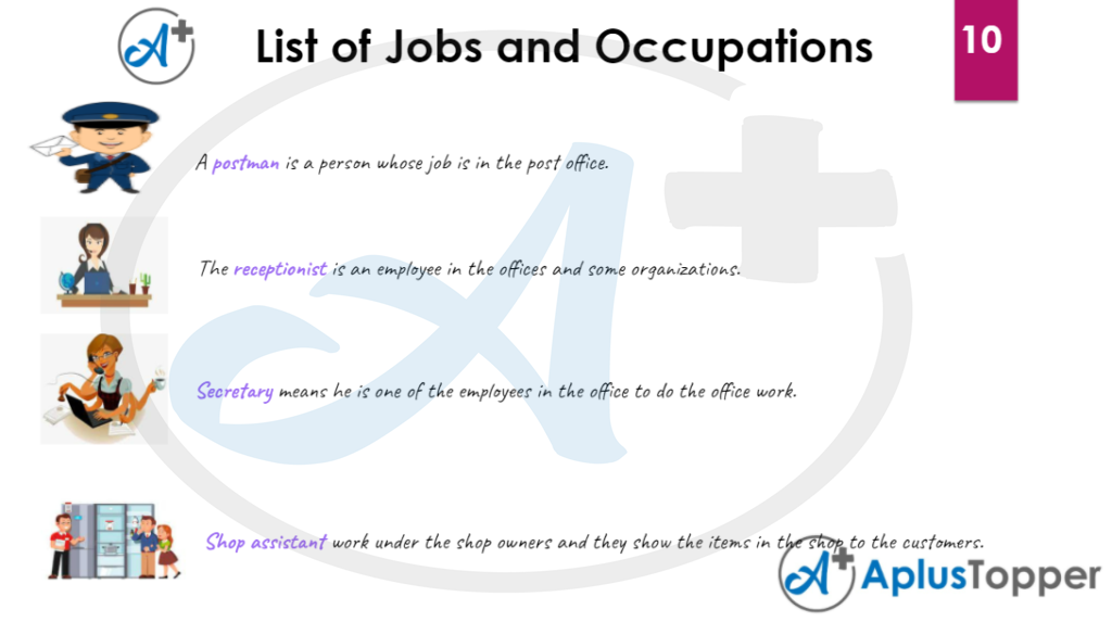 List of Jobs and Occupation Vocabulary 10