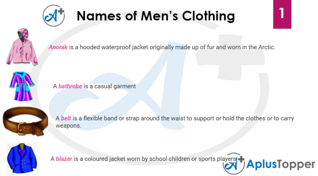 Men's Clothing Vocabulary  Names of Clothes with Pictures