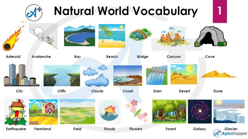 Natural World Vocabulary | Names of Natural Disaster and Weather in ...