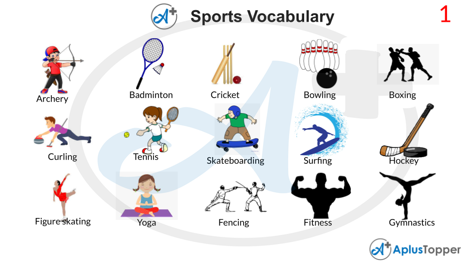 Sports Vocabulary  List of Useful Sports Vocabulary With Description and  Pictures - A Plus Topper
