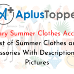 Vocabulary Summer Clothes Accessories