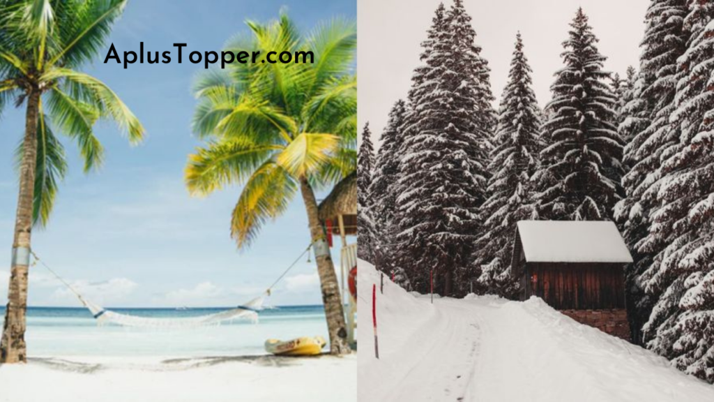winter-vs-summer-essay-which-season-is-best-winter-or-summer-a