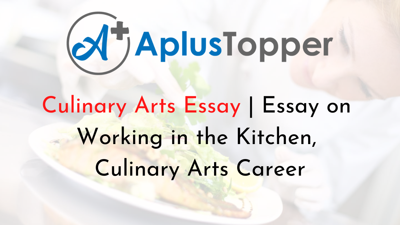 culinary art integration in college curriculum essay