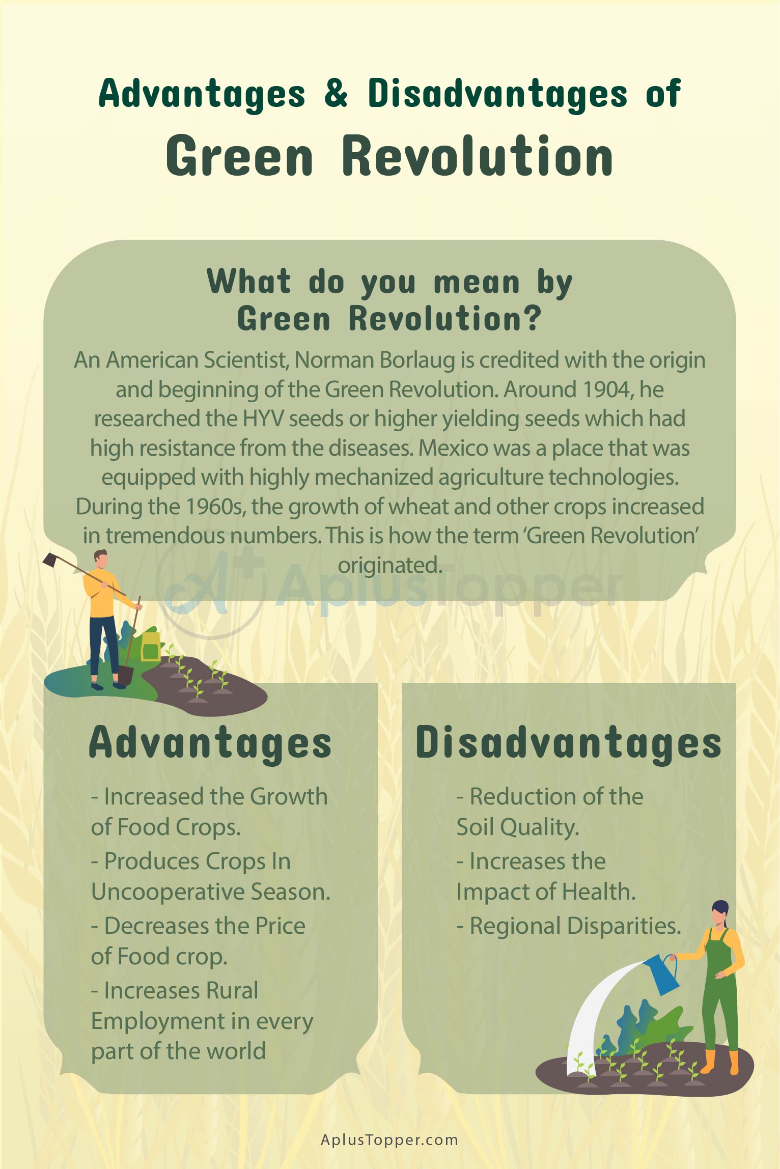 green revolution essay 150 words